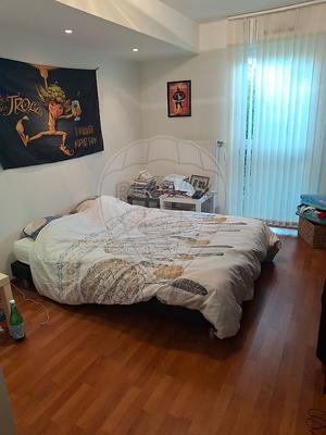 Appartement - 53 m² - 2 pièces