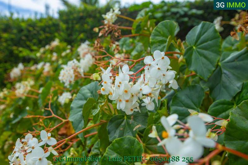 Maison d'architecte - 355 m² - 9 pièces