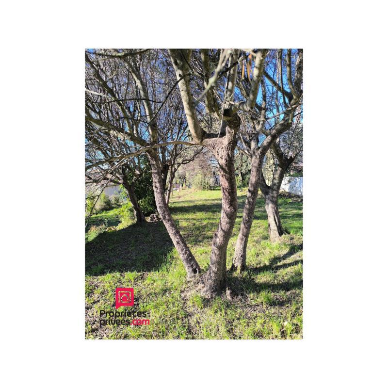 Terrain constructible - 1 000 m²