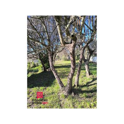 Terrain constructible - 1 000 m²