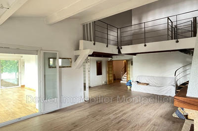 Maison - 195 m² - 7 pièces