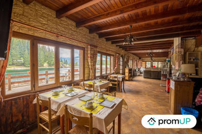 Maison - 600 m² - 17 pièces