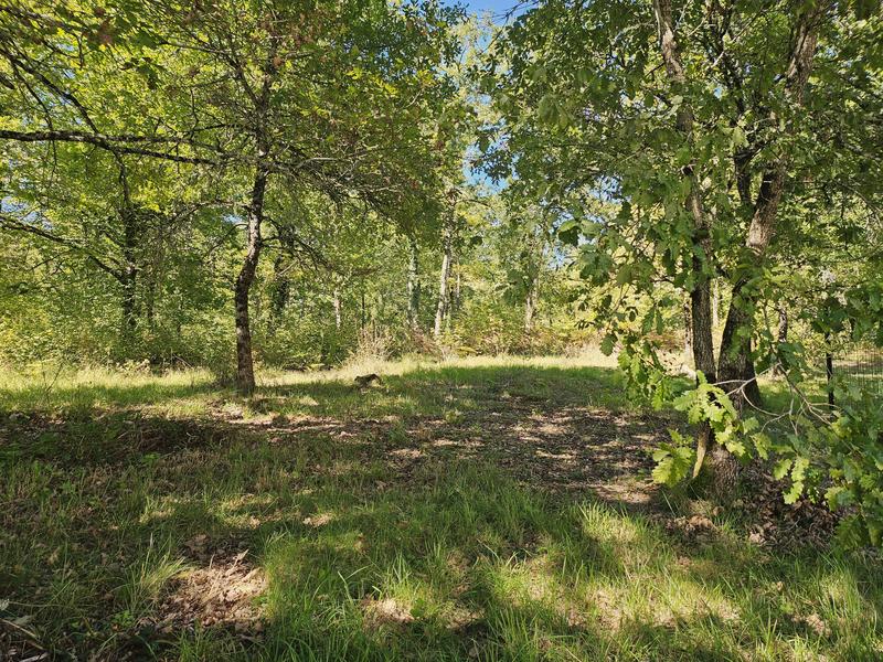 Maison - 116 m² - 5 pièces