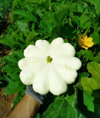 Aux Jardins du Soubeau