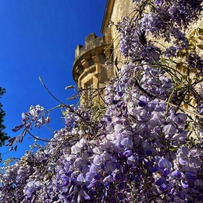 Manoir - 450 m² - 24 pièces