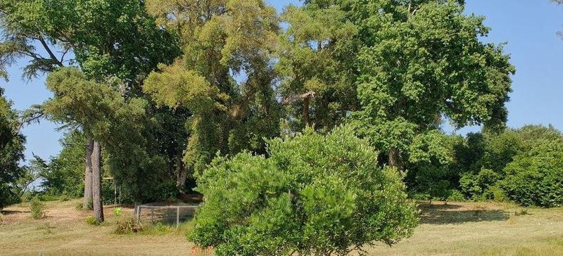 Maison contemporaine - 141 m² - 5 pièces