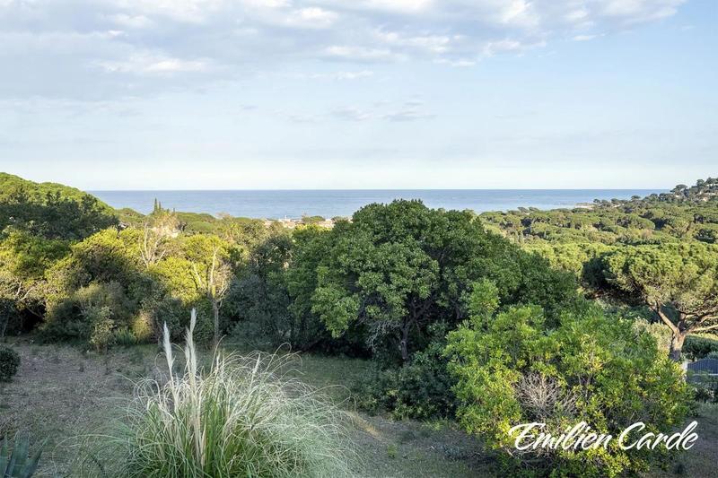 Terrain constructible - 1 725 m²