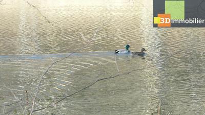 Maison - 500 m² - 11 pièces