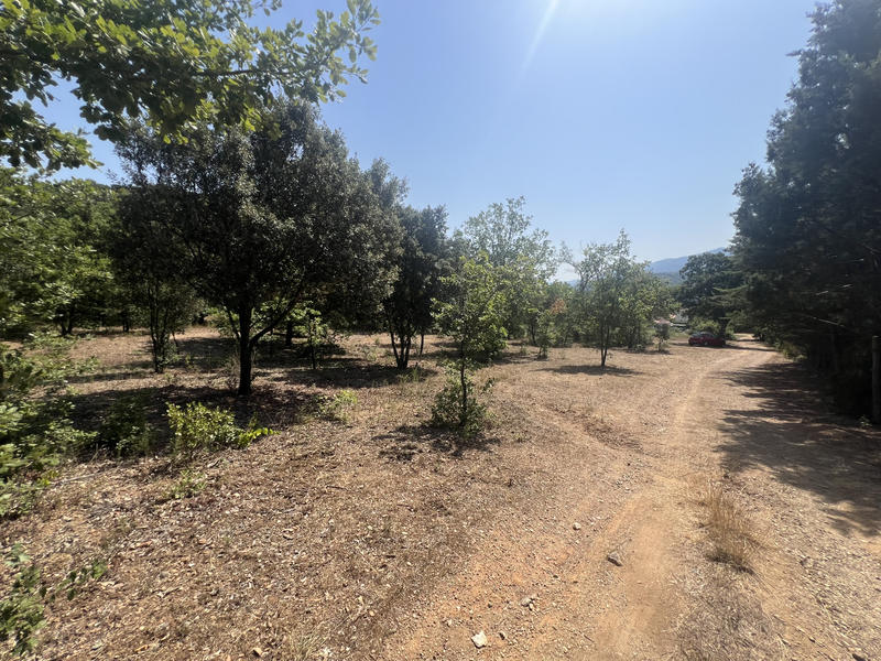 Terrain de loisirs - 10 100 m²