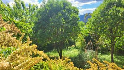 Maison - 75 m² - 5 pièces