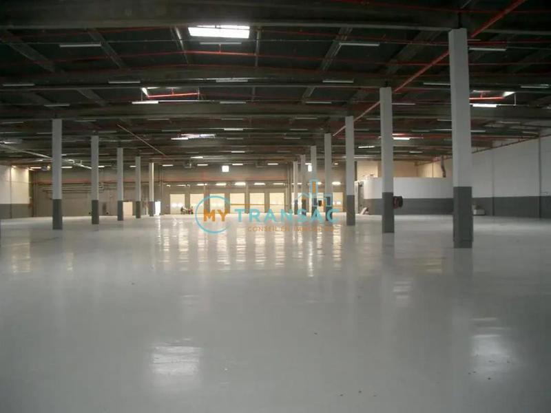 Entrepôt - 4 305 m²