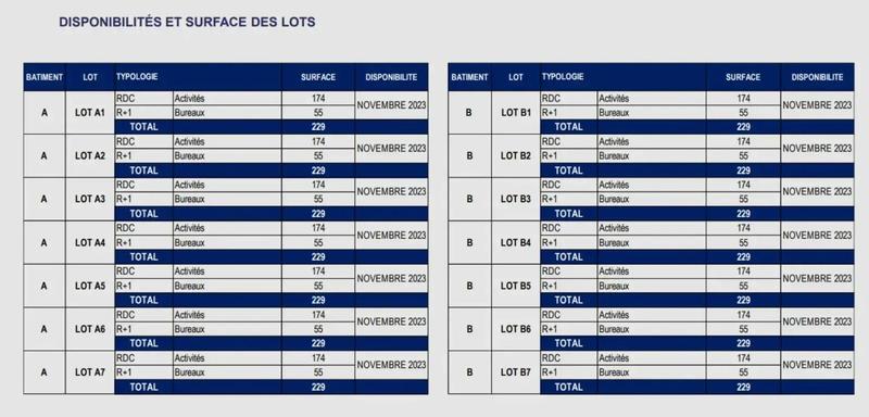 Local d'activités - 229 m²