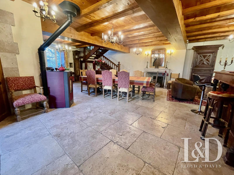 Château - 1 560 m² - 20 pièces