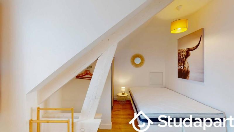 Chambre - 10 m² - 1 pièce