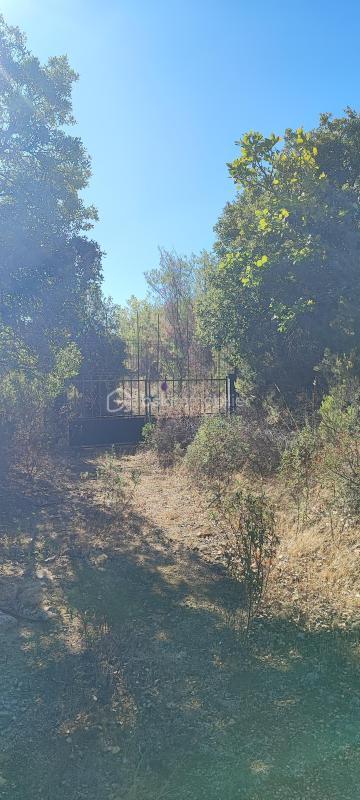 Terrain de loisirs - 4 296 m²