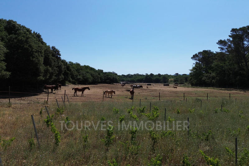 Terrain - 24 880 m²