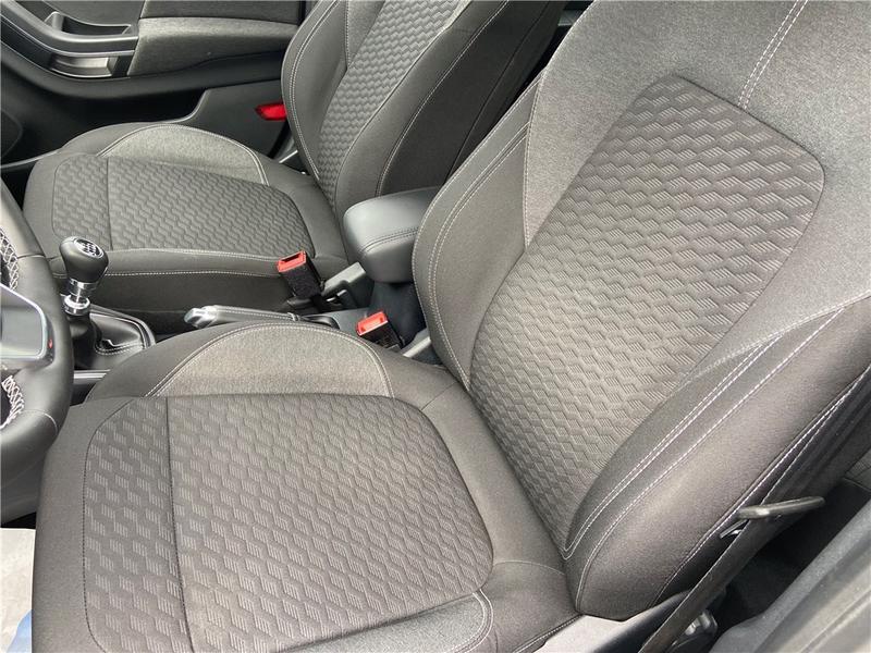 Ford Puma II 1.0 Flexifuel 125 Ch Mhev s&amp;S Bvm6 Titanium