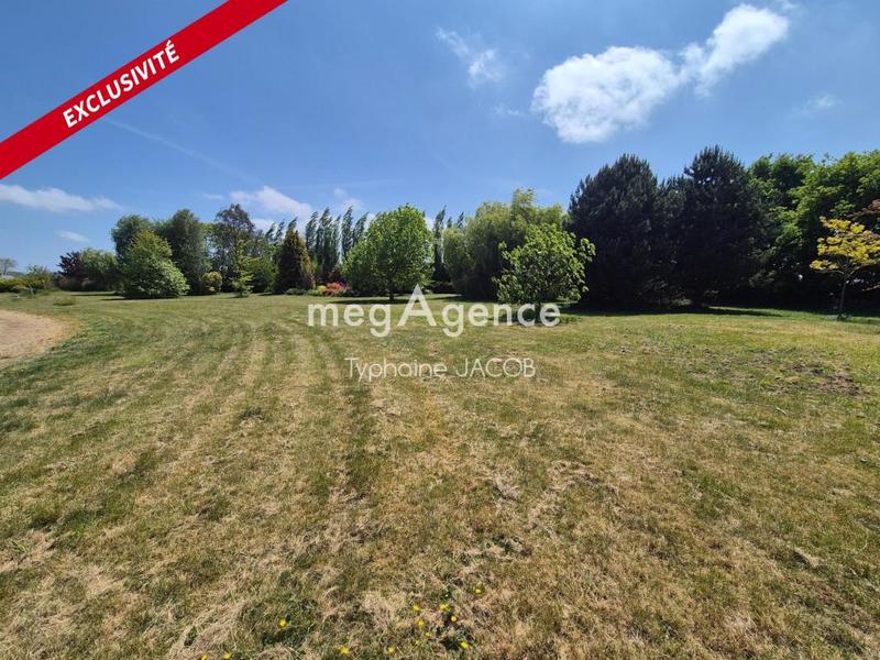 Terrain constructible - 4 000 m²