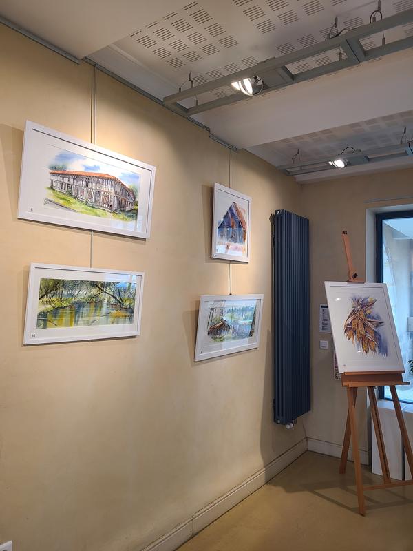 Exposition d'aquarelles d'Anne Larose