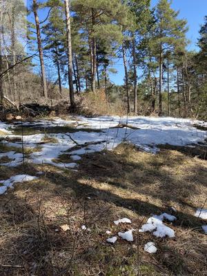 Terrain de loisirs - 16 596 m²