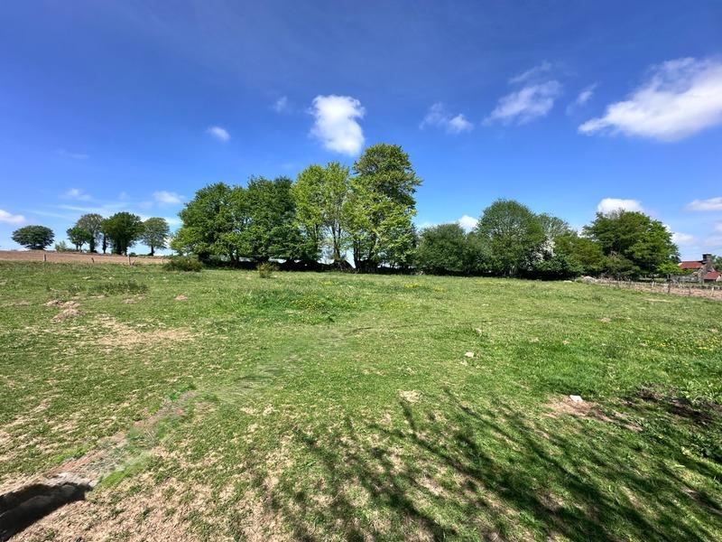 Maison en pierre - 244 m² - 7 pièces