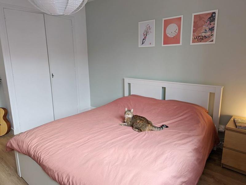 Appartement - 50 m² - 2 pièces