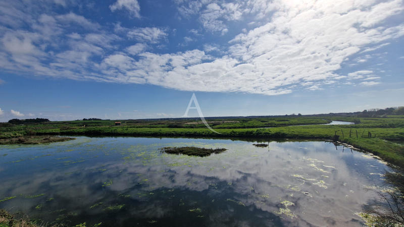 Terrain - 27 235 m²