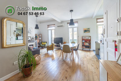 Appartement - 55 m² - 2 pièces