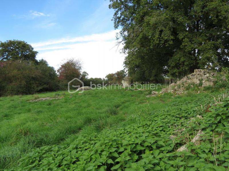 Maison ancienne - 1 140 m² - 2 pièces