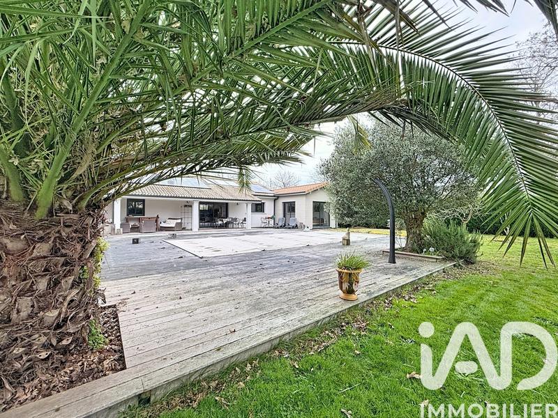 Maison - 150 m² - 6 pièces