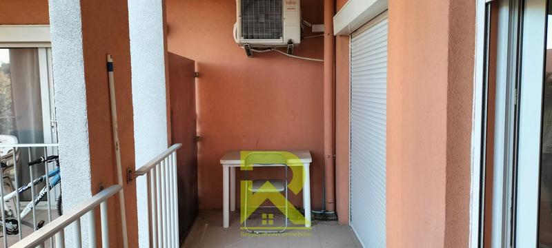 Studio - 30 m² - 1 pièce