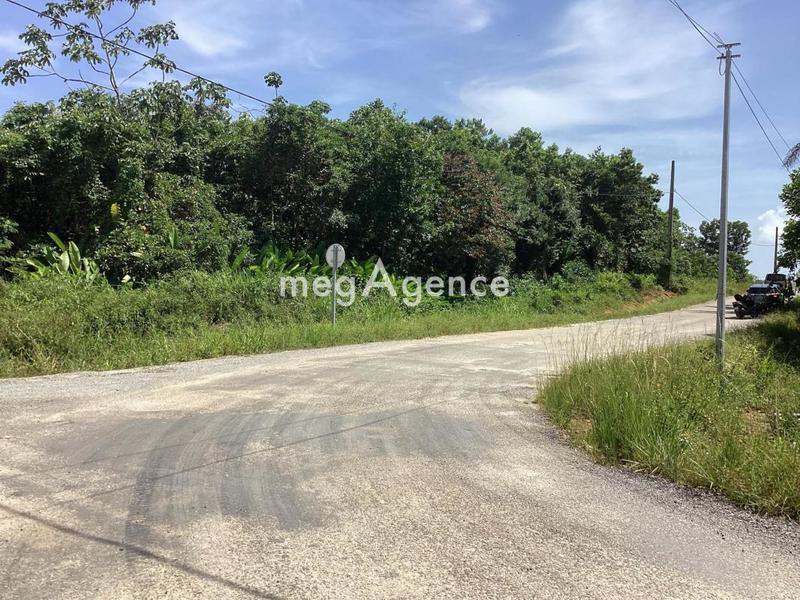 Terrain constructible - 10 000 m²