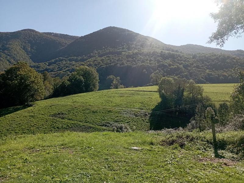 Grange - 90 m² - 2 pièces