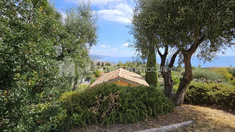 Villa - 430 m² - 8 pièces