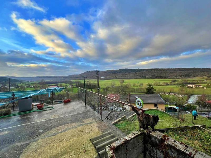 Maison - 137 m² - 5 pièces