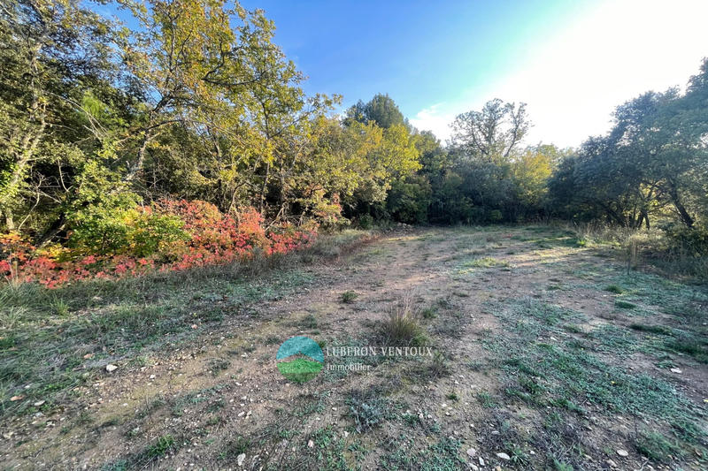 Terrain agricole - 7 600 m²