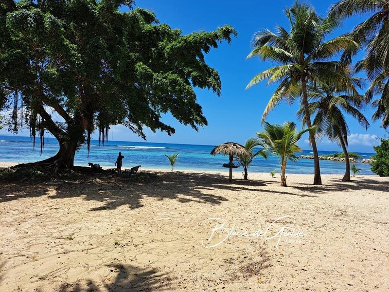 Appartement - 35 m² - 1 pièce