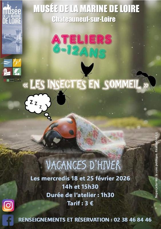 Ateliers des vacances d'hiver : les insectes en sommeil