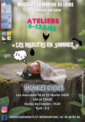 Ateliers des vacances d'hiver : les insectes en sommeil