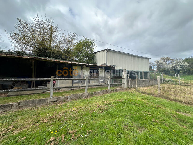 Maison - 177 m² - 8 pièces