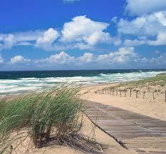 Terrain constructible - 1 100 m²