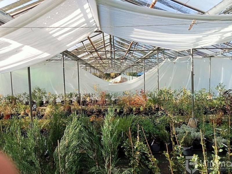 Fonds de commerce - Bureau - 3 000 m²