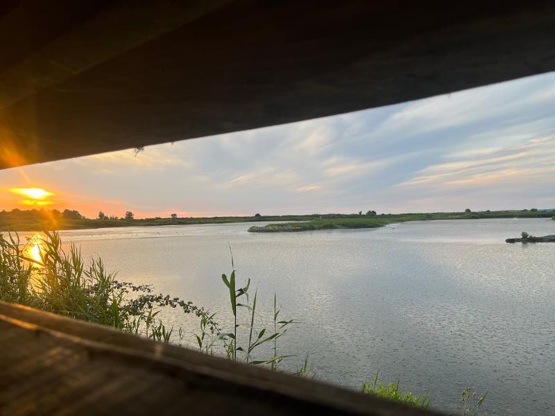 Nocturnes Chouette et Compagnie à Terres d'Oiseaux