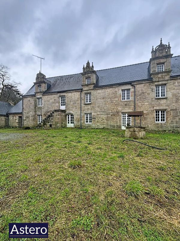 Manoir - 300 m²