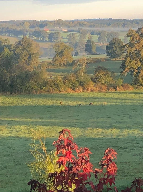 Maison - 243 m² - 7 pièces