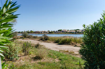 Maison - 29 m² - 2 pièces