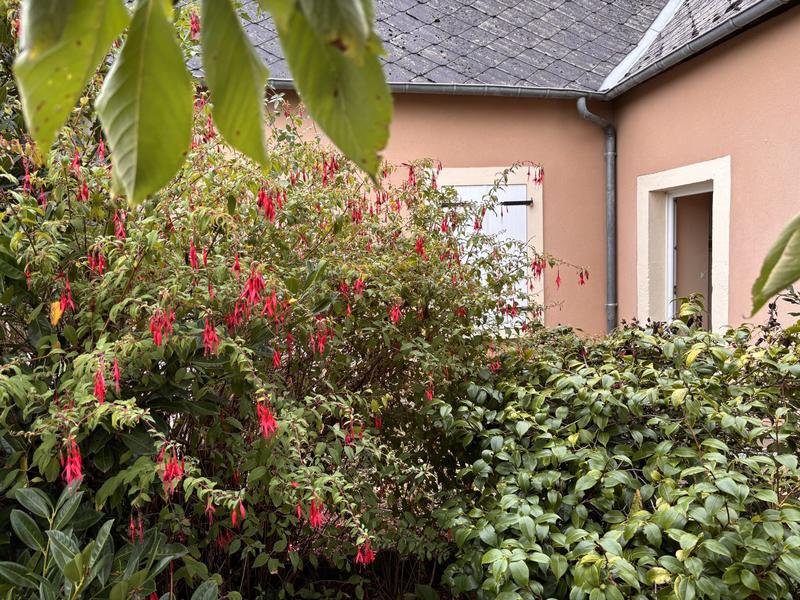 Maison ancienne - 65 m² - 3 pièces