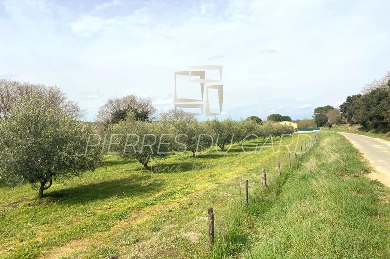 Terrain - 12 040 m²