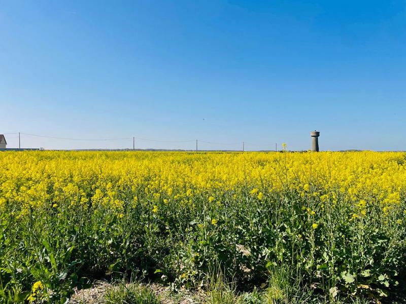 Terrain constructible - 1 166 m²