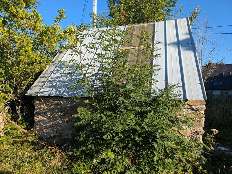 Maison de campagne - 55 m² - 2 pièces